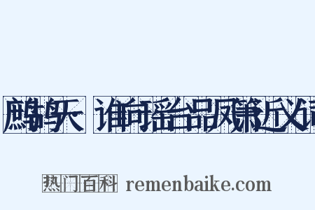 鹧鸪天·谁向瑶台品凤箫近义词是什么意思的图片